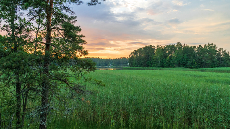 Finnish language learning with inspiring visual content is here! This image captures the spirit of Kielenrauhaa – Peaceful and calm language learning